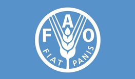 投标人如何获取粮农组织（FAO）的招标文件并通过联合国全球市场提交投标文件