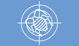 【抗性管理】高希武教授：棉蚜抗性持续增加的三大主因已经找到！